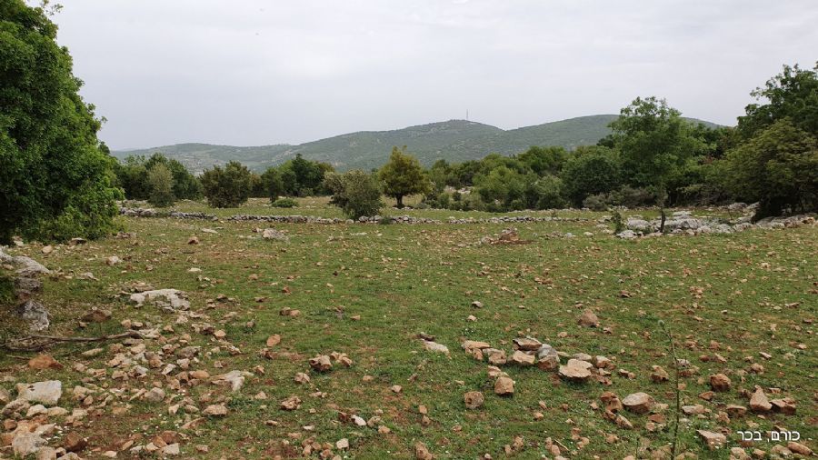 סובב הר מירון